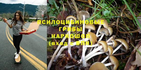 марки nbome Медногорск