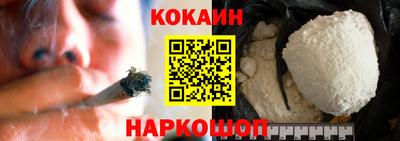 гашик Кингисепп