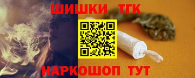 гашик Кингисепп