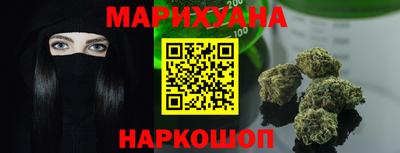 гашик Кингисепп