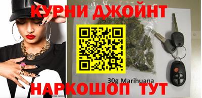 гашик Кингисепп