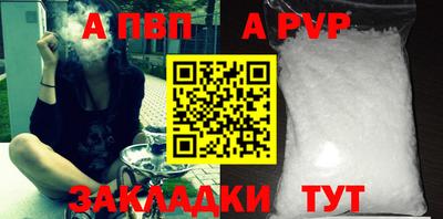 гашик Кингисепп