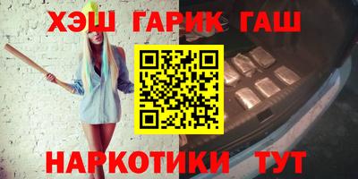 гашик Кингисепп