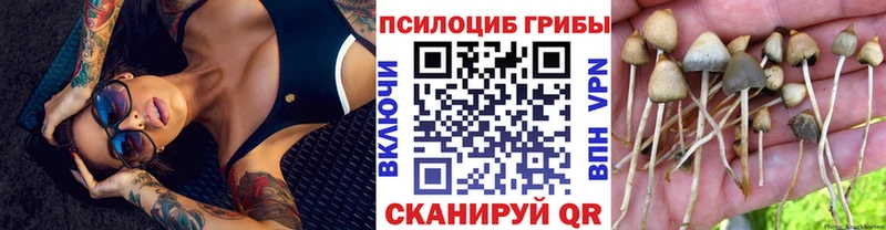 где купить наркоту  Фурманов  MEGA ONION  Псилоцибиновые грибы GOLDEN TEACHER 