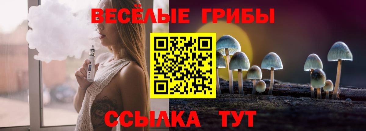 Галлюциногенные грибы Psilocybe Фурманов